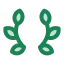 Achievements and awards